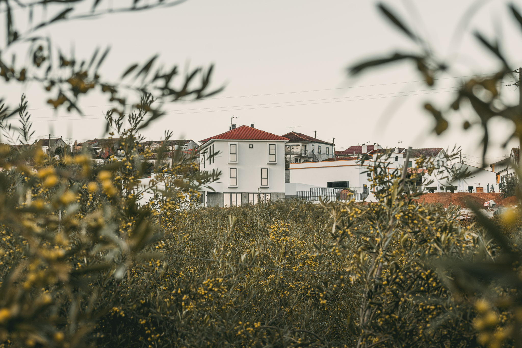 Um refúgio de bem-estar, aliando o vinho e o azeite à rica gastronomia portuguesa